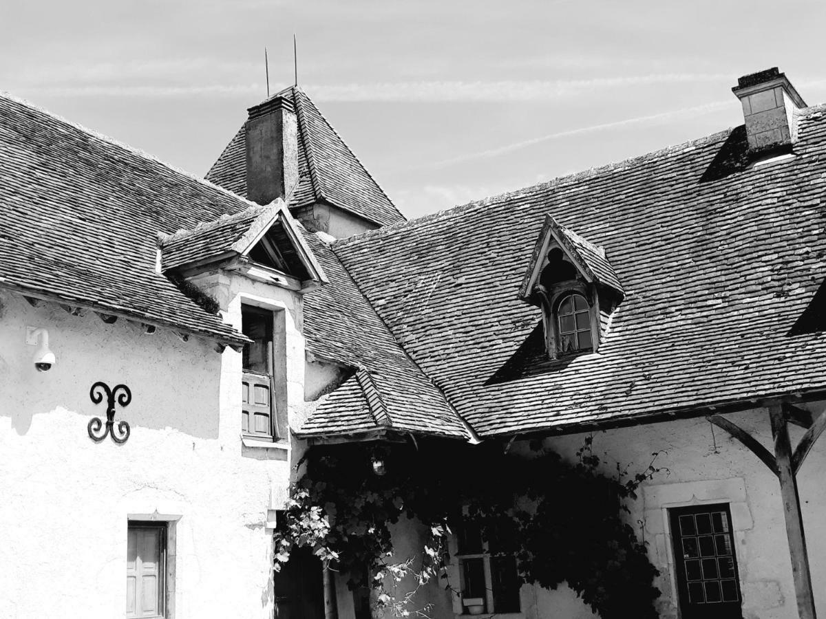 Le Manoir De Pierre Levee, The Originals Collection Hotel Tournon-Saint-Martin Exterior foto