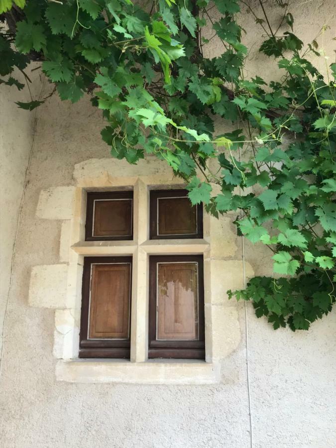 Le Manoir De Pierre Levee, The Originals Collection Hotel Tournon-Saint-Martin Exterior foto