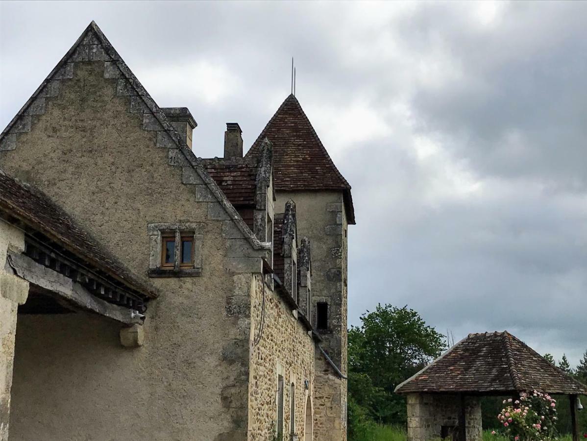 Le Manoir De Pierre Levee, The Originals Collection Hotel Tournon-Saint-Martin Exterior foto